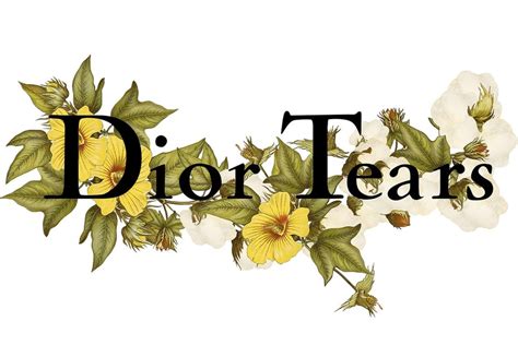 what is dior tears|tremaine emory Dior.